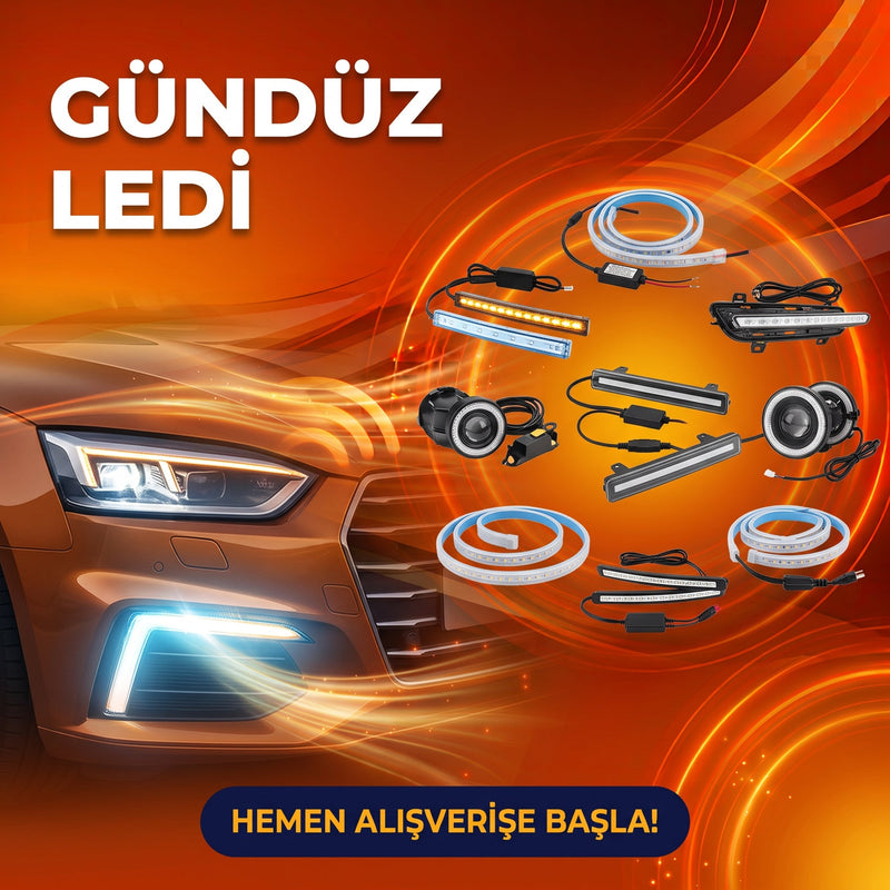 Gündüz Ledi